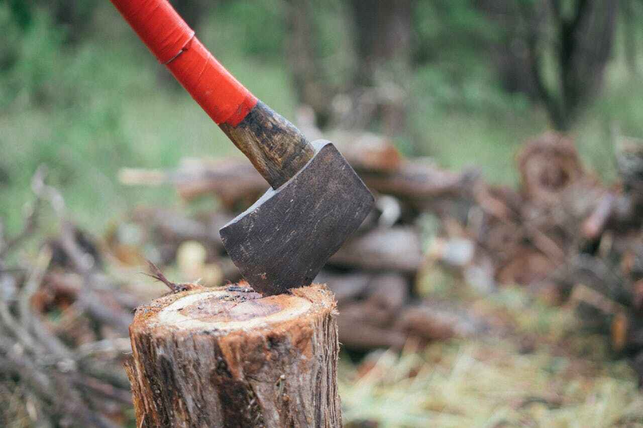 Residential Tree Removal in Cairo, GA